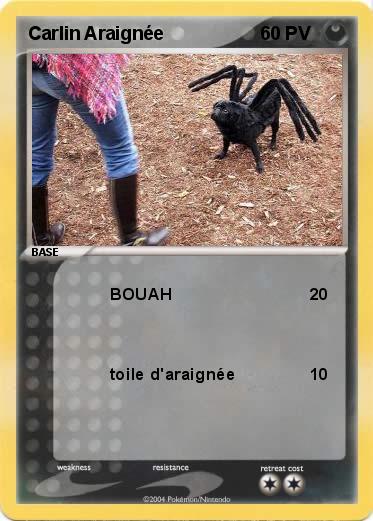 Pokemon Carlin Araignée