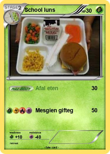 Pokemon School luns
