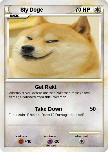 Pokemon Sly Doge