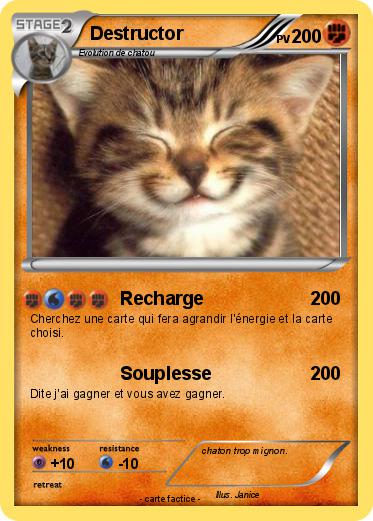 Pokemon Destructor