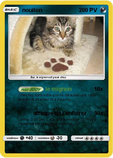 Pokemon nouilon