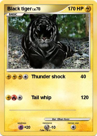 Pokemon Black tiger