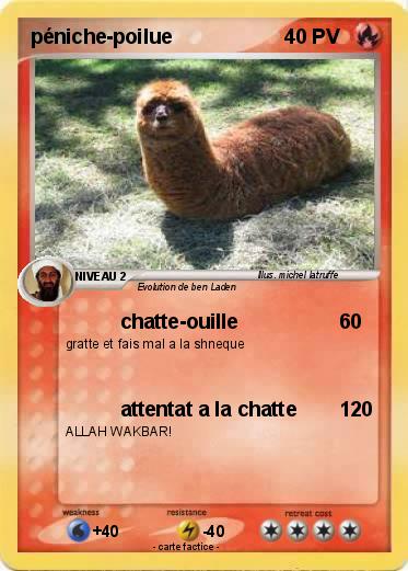 Pokemon péniche-poilue