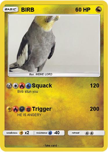 Pokemon BIRB