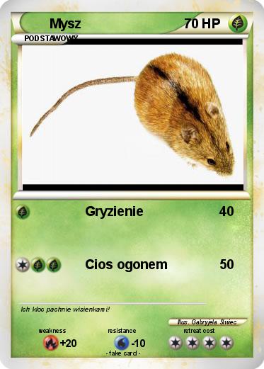 Pokemon Mysz