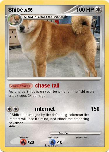 Pokemon Shibe