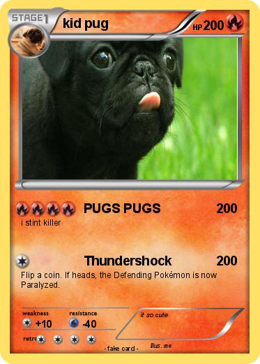 Pokemon kid pug