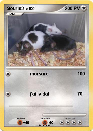 Pokemon Souris3