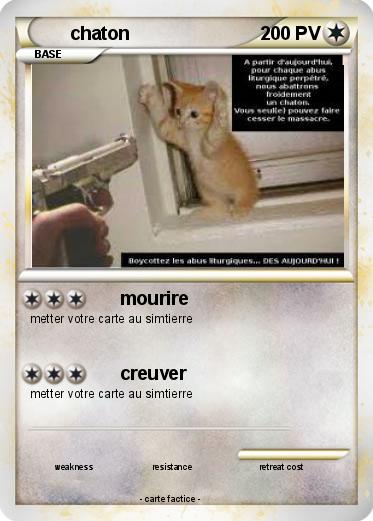 Pokemon chaton