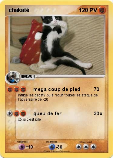 Pokemon chakaté