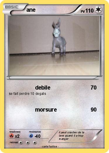 Pokemon ane