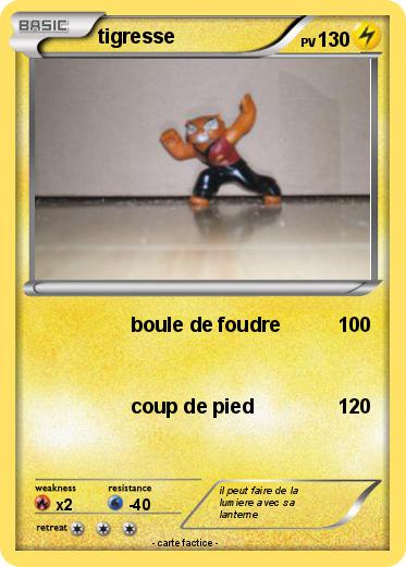 Pokemon tigresse