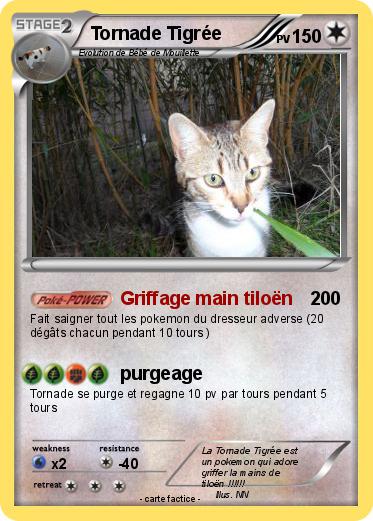 Pokemon Tornade Tigrée