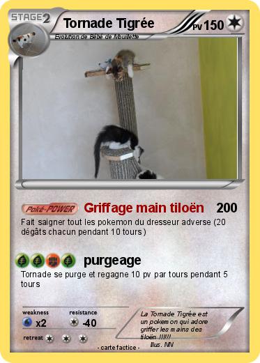 Pokemon Tornade Tigrée
