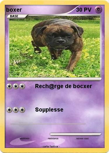 Pokemon boxer