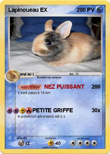 Pokemon Lapinoueau EX