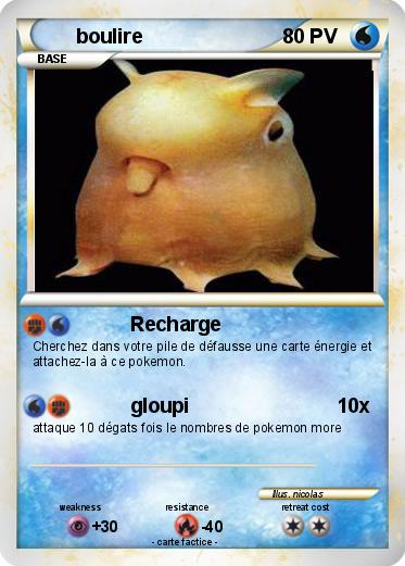 Pokemon boulire