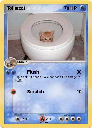 Pokemon Toiletcat