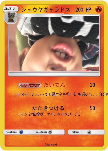 Pokemon シュウヤギャラドス