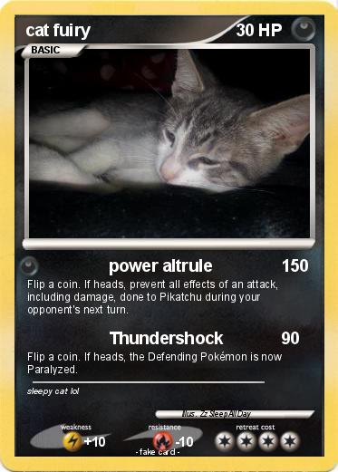 Pokemon cat fuiry
