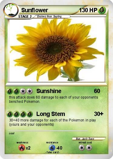 Pokemon Sunflower