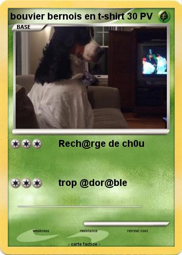 Pokemon bouvier bernois en t-shirt