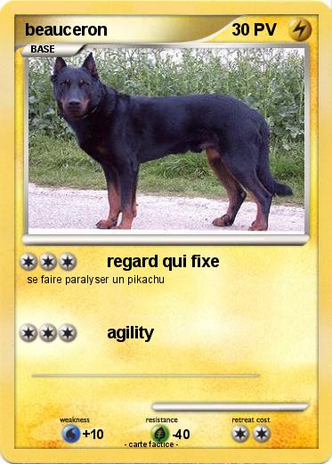 Pokemon beauceron
