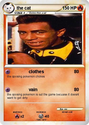 Pokemon the cat