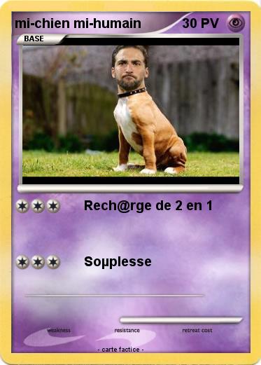 Pokemon mi-chien mi-humain