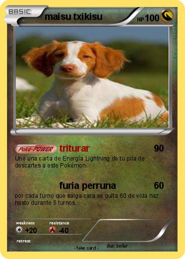 Pokemon maisu txikisu