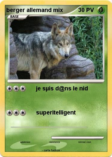 Pokemon berger allemand mix