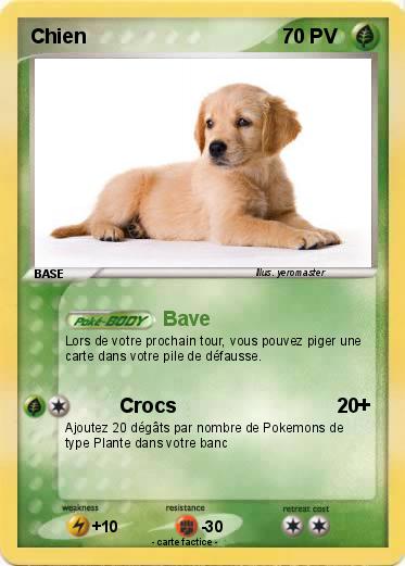 Pokemon Chien