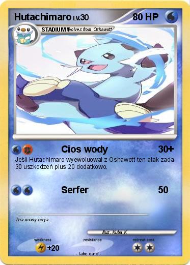 Pokemon Hutachimaro