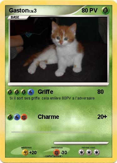 Pokemon Gaston