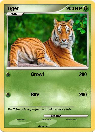Pokemon Tiger