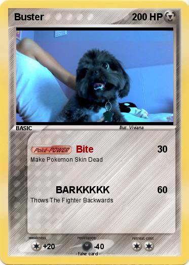 Pokemon Buster