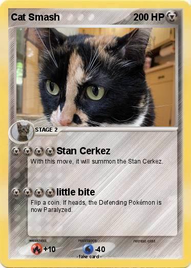 Pokemon Cat Smash
