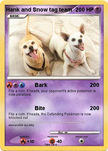 Pokemon Hank and Snow tag team