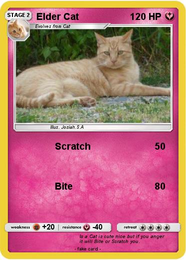 Pokemon Elder Cat