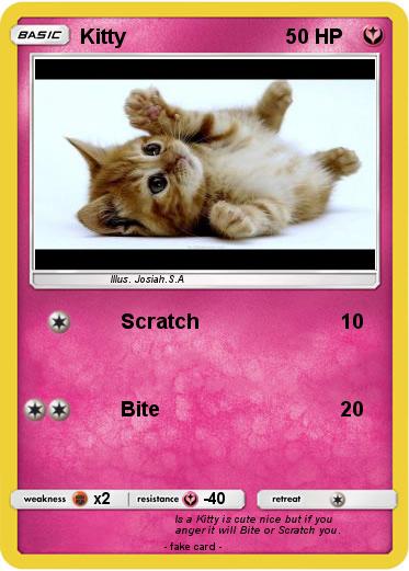 Pokemon Kitty