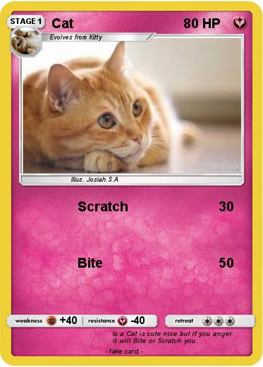 Pokemon Cat