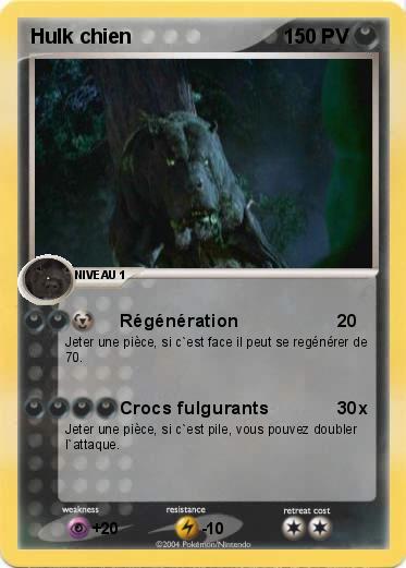 Pokemon Hulk chien