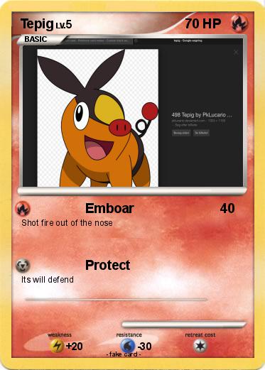 Pokemon Tepig