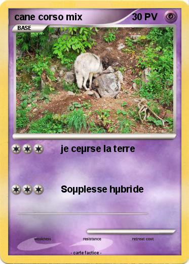 Pokemon cane corso mix