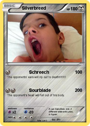 Pokemon Silverbreed