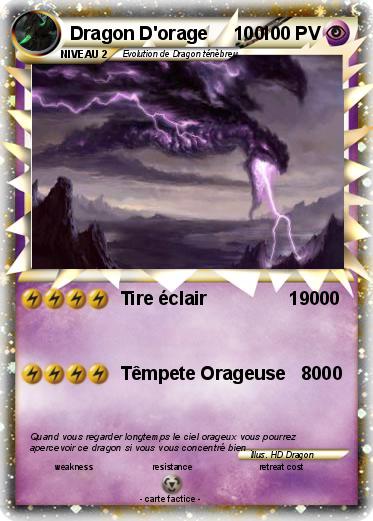 Pokemon Dragon D'orage     100