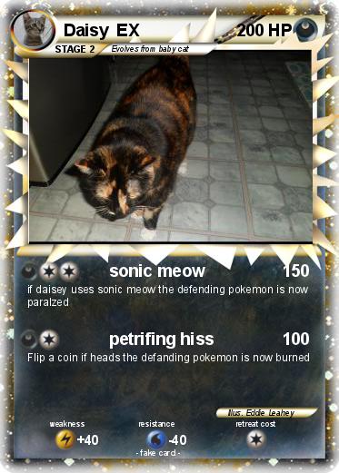 Pokemon Daisy  EX