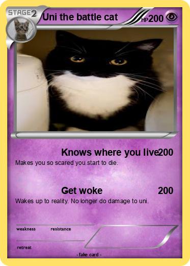 Pokemon Uni the battle cat