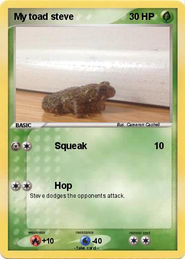 Pokemon My toad steve
