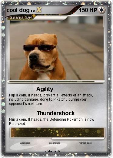Pokemon cool dog